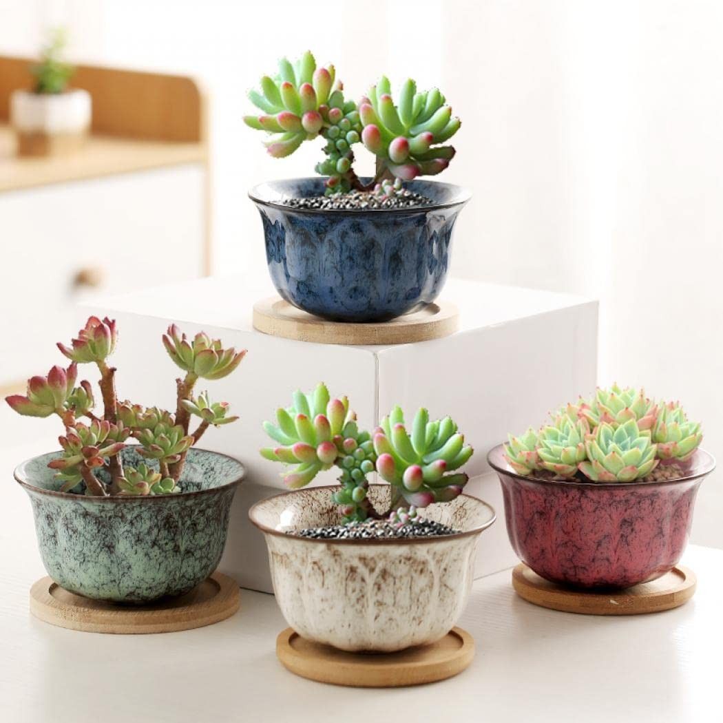 Chậu cây gốm trồng sen đá lớn